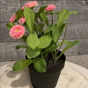 Meet your Posher, Monica